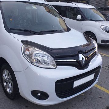 Д/к Renault Kangoo 2013+ (TAN24) 00-00009999 фото