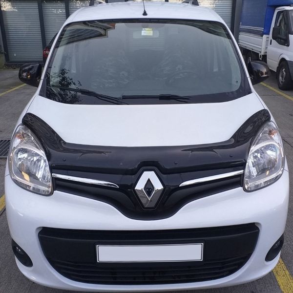 Д/к Renault Kangoo 2013+ (TAN24) 00-00009999 фото
