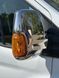 Хром накладки на дзеркала Ford Transit 2013+ - (TAN24) 00-00011386 фото